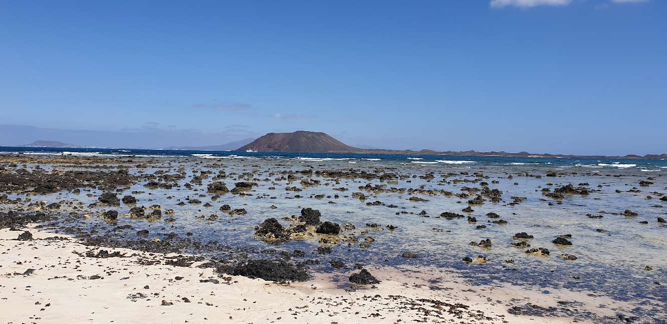 FUE 7 20210317_132220.jpg